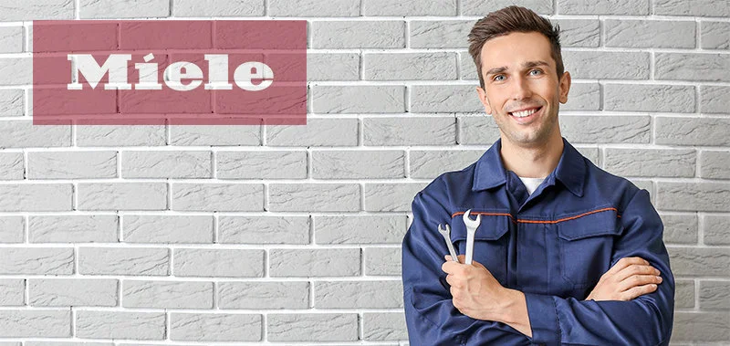 assistenza miele