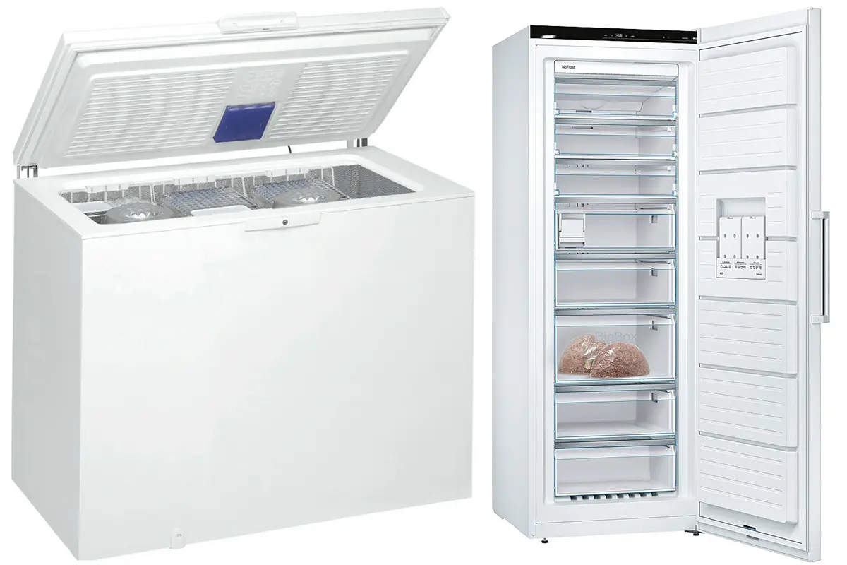Qual è la capacità di un congelatore a pozzetto?