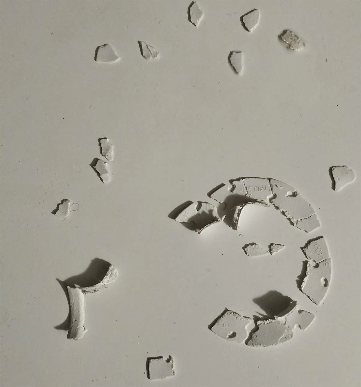 frammenti di plastica trovati nella lavastoviglie lft 229 a/ha